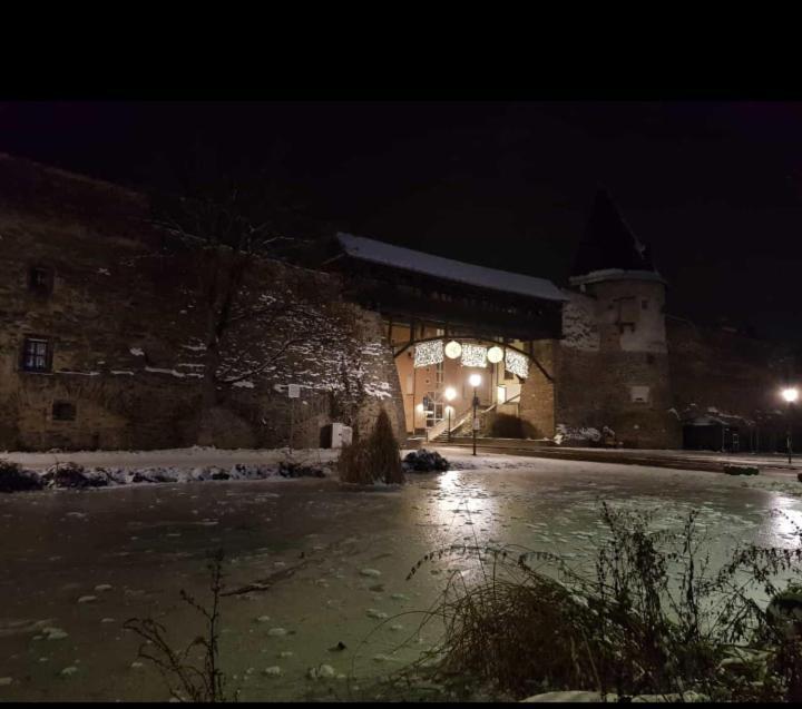 Ferienwohnung Am Geysirzentrum Andernach Esterno foto