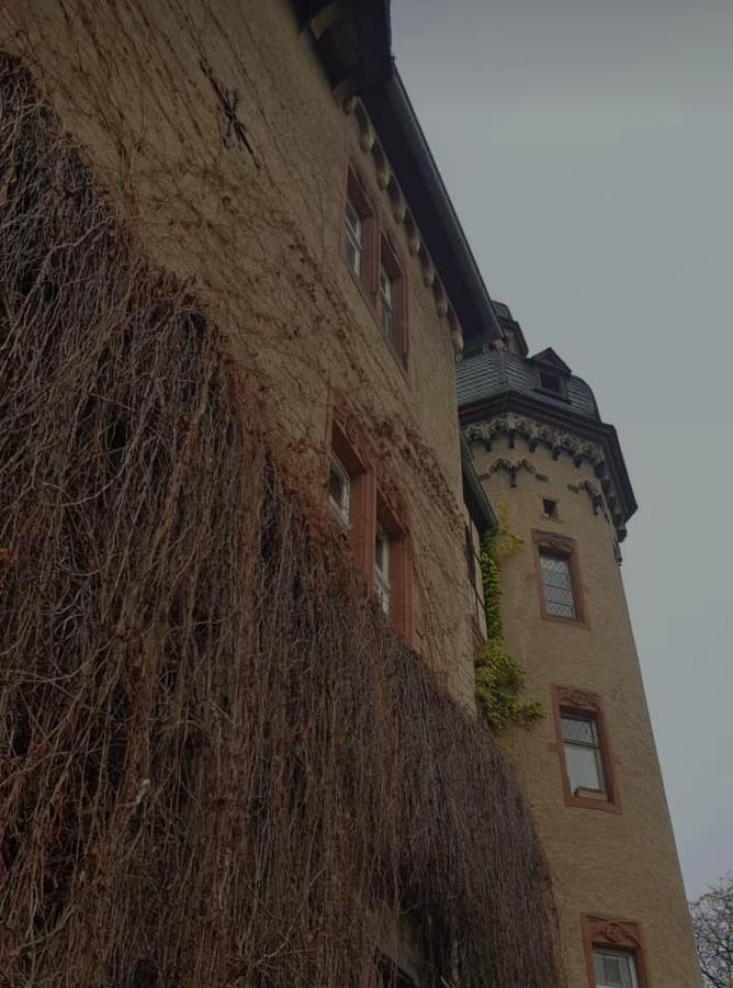 Ferienwohnung Am Geysirzentrum Andernach Esterno foto